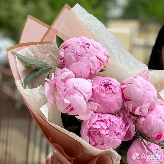 Букет из свежих пионов