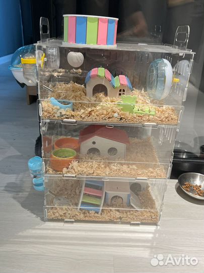 Трехэтажный дом для грызунов