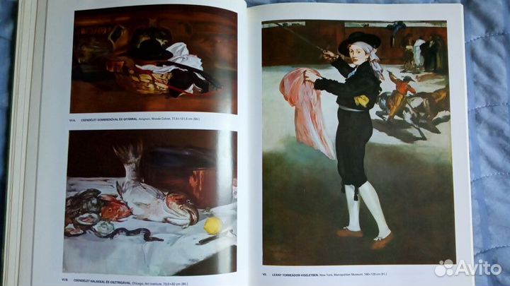 Альбом Эдуард Мане (Manet)