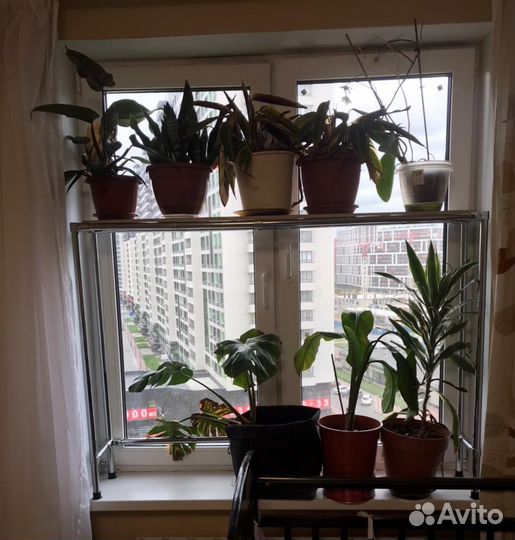 Стеллаж для цветов на подоконник