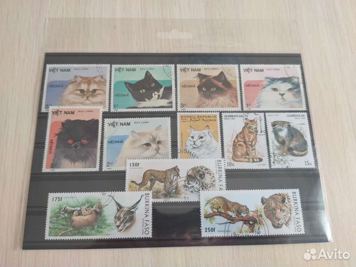 Марки Кошки