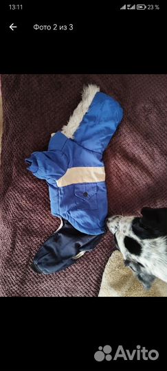 Зимняя куртка для собак