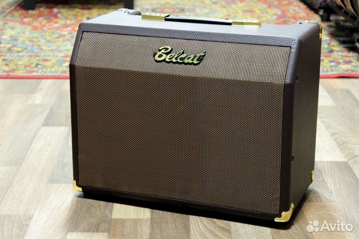 Комбоусилитель для акустической гитары, 25Вт