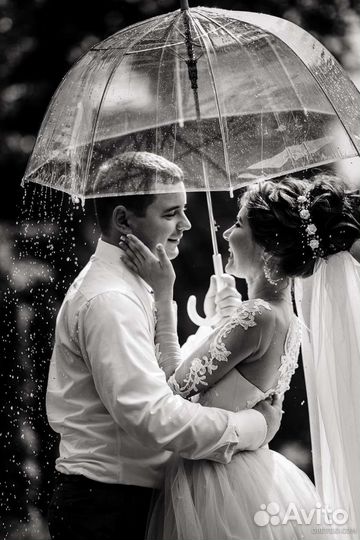 Аренда зонтов