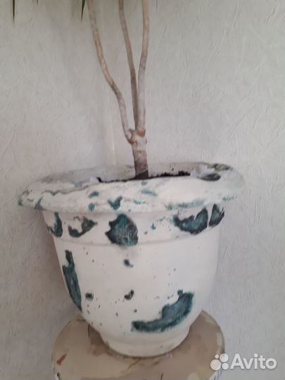 Ваза для цветов большая