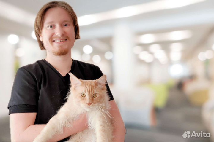 Ветеринарный врач выезд на дом. Груминг животных