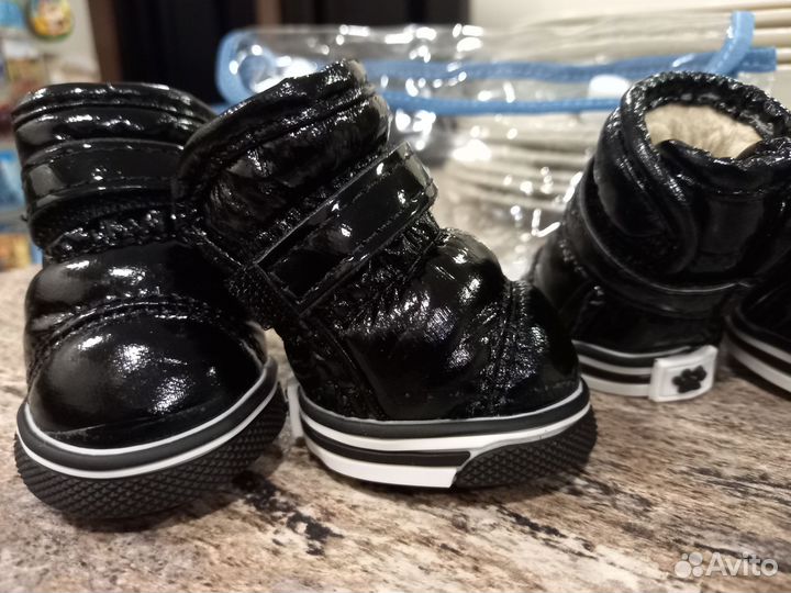 Обувь для собак