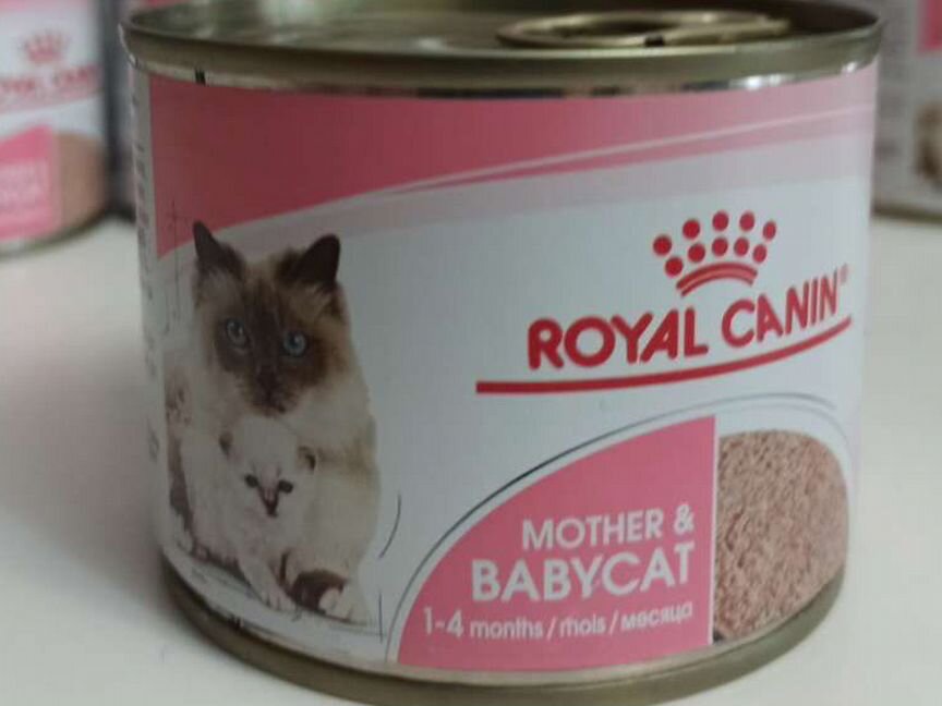 Royal Canin babycat для котят