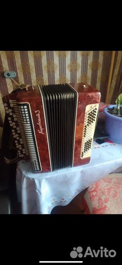 Баян кировский 3