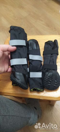 Ботинки зимние для собак