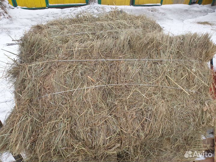 Сено В брикетах