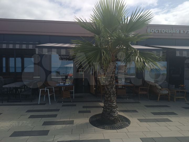 Общепит, 31 м²