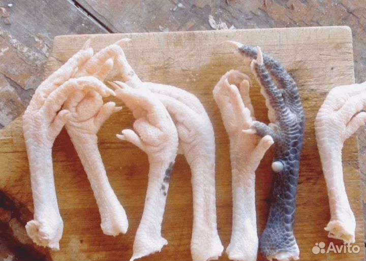 Сортировщик Вахта в Белгород Автобус 15.09