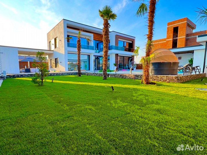 Газон рулонный. Озеленение