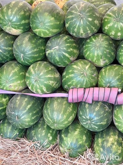 Продажа арбузов