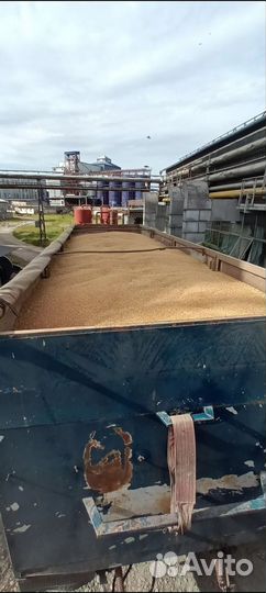 Прицеп зерновоз СЗАП 83053, 1995