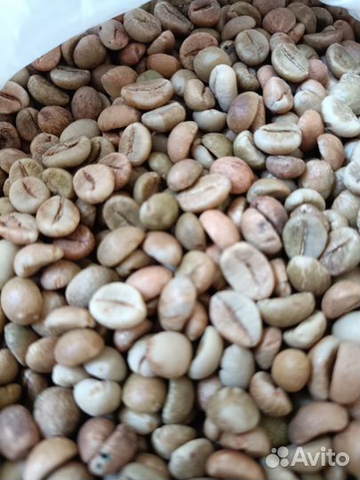 Кофе в зёрнах Арабика Green Coffee