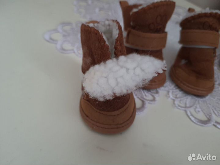 Обувь для собак мелких пород