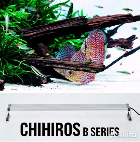 Светильник Chihiros B series B60
