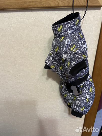 Курточка для собак мелких пород