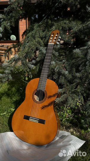 Классическая гитара yamaha c40