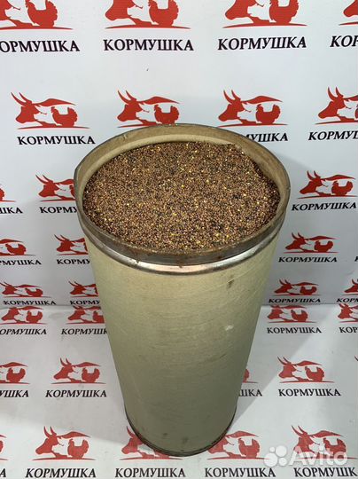Редька масличная