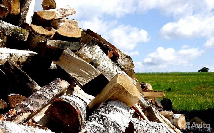 Дрова без муравьев