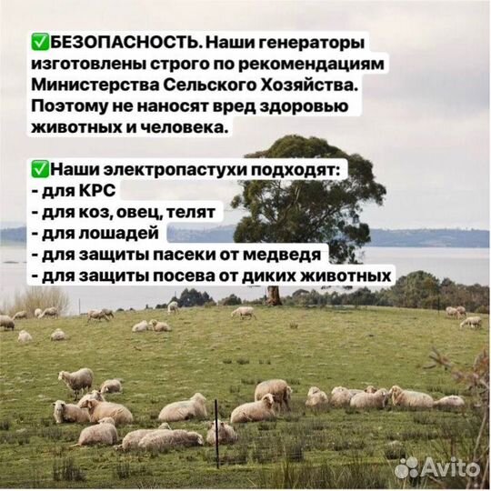 Электропастух с завода для мясных крс