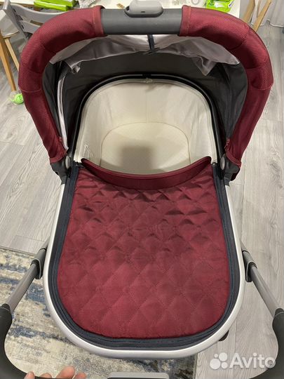 Коляска uppababy vista для двойни винного цвета