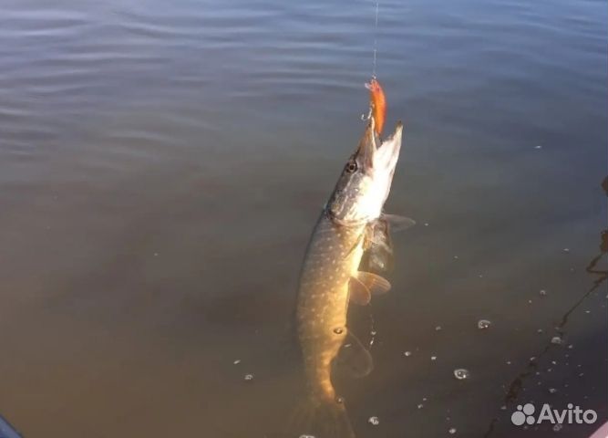 Воблер, раттлин, поппер, шарнирный воблер и тд