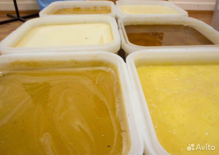 2024 Мёд натуральный из Алтая опт