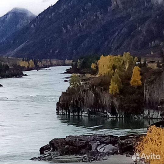 Рыбалка на Алтае (хариус)