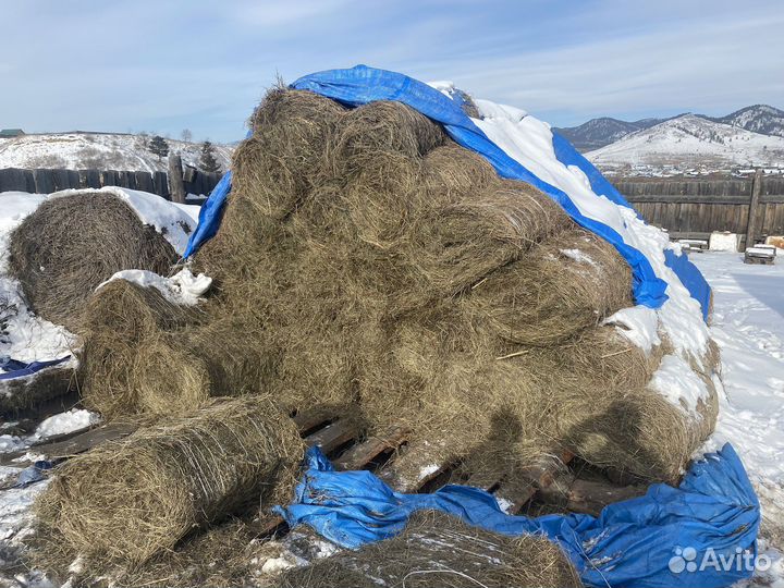 Продам сено в тюках