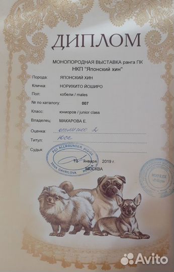 Японский хин на вязку