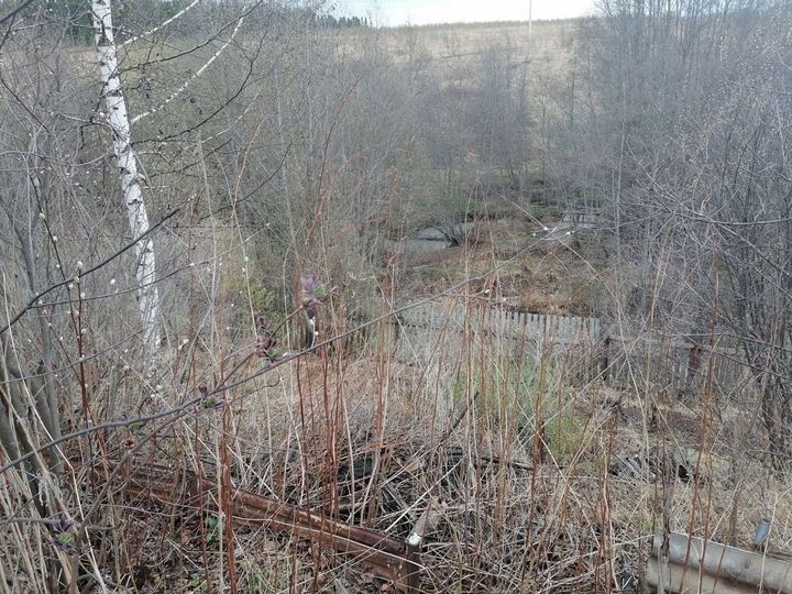 Участок 5,4 сот. (СНТ, ДНП)