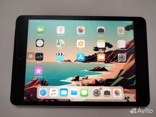 iPad mini 2