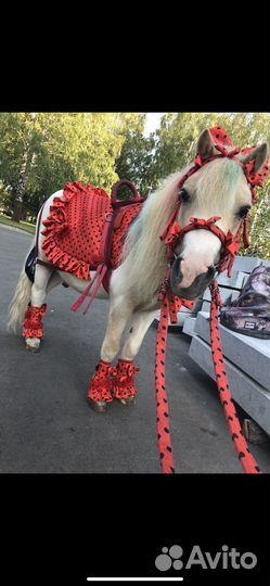 Амуниция для лошади, амуниция для пони