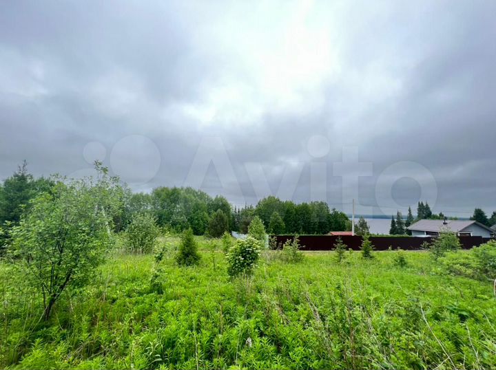 Участок 24,7 сот. (СНТ, ДНП)