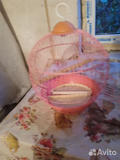 Клетка для попугая