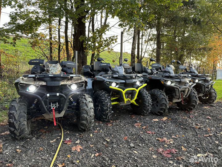 Прокат квадроциклов