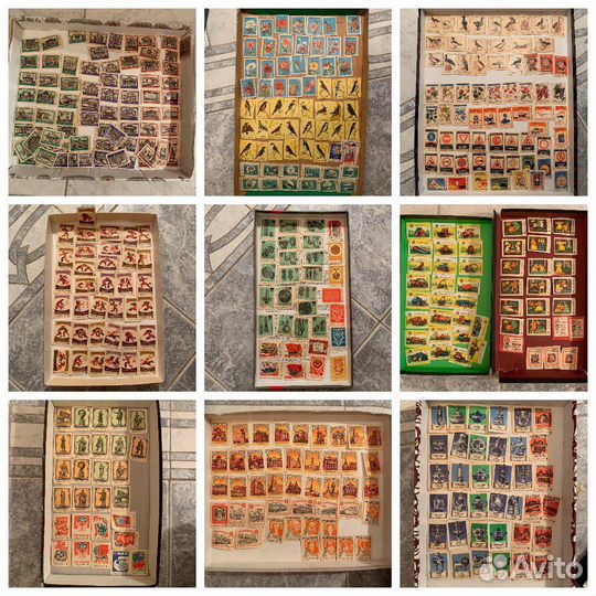 527 спичечных этикеток коллекция филумения