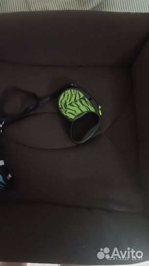 Все необходимое для щенка