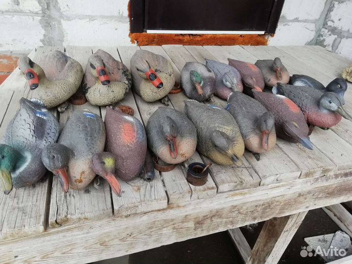 Чучела уток 16шт