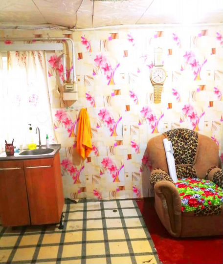 Дом 24,5 м² на участке 5 сот.