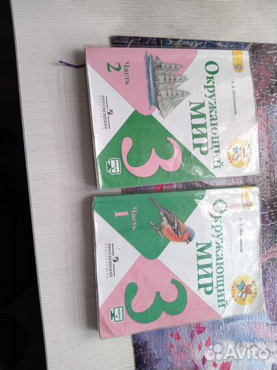 Окружающий мир 3 класс