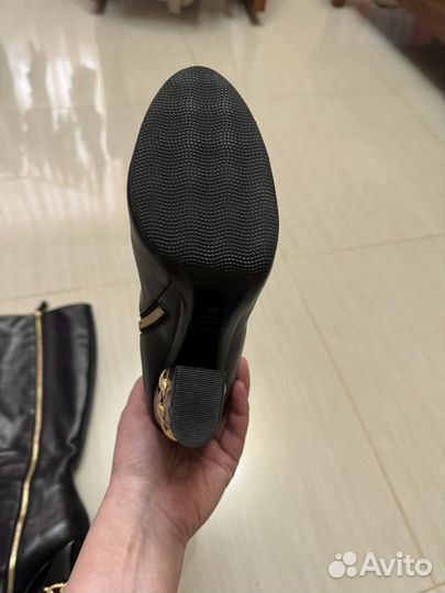 Сапоги женские Casadei