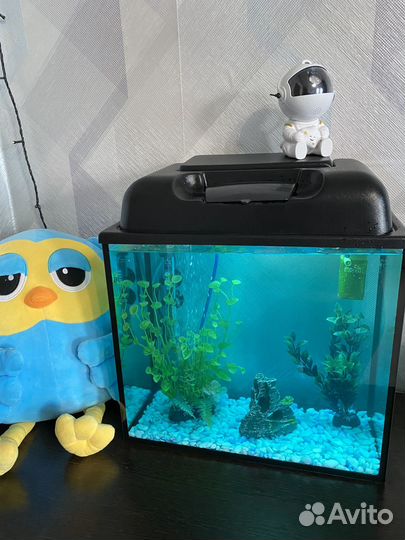 Аквариум со всем оборудованием и рыбками