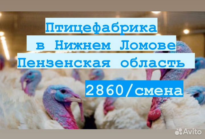 Разнорабочие вахта с оплатой проезда