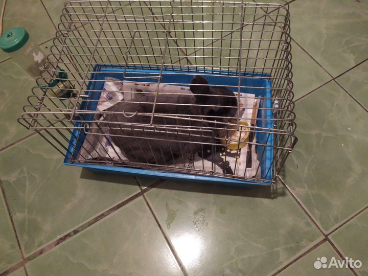 Клетка для домашнего кролика