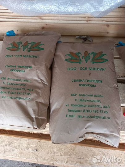 Семена кукурузы
